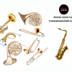 instrumentos de sopro - capa - trama music hall